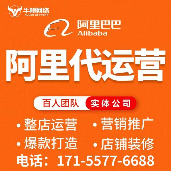 玉树电商代运营