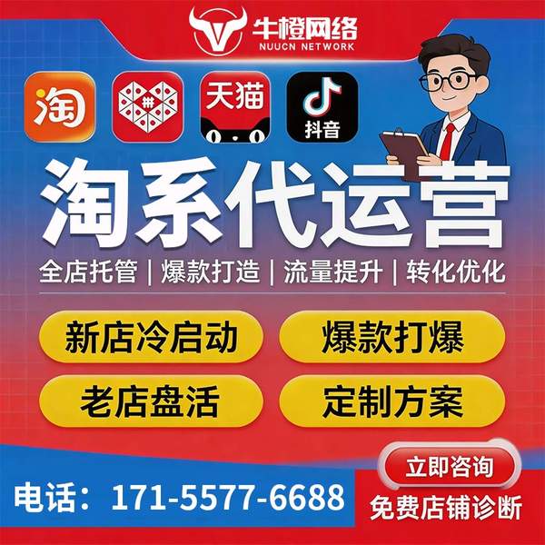 玉树电商代运营