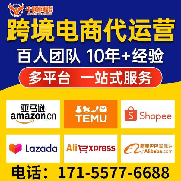 玉树电商代运营