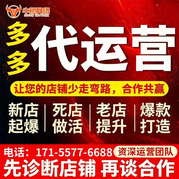 玉树电商代运营
