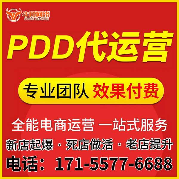 玉树电商代运营