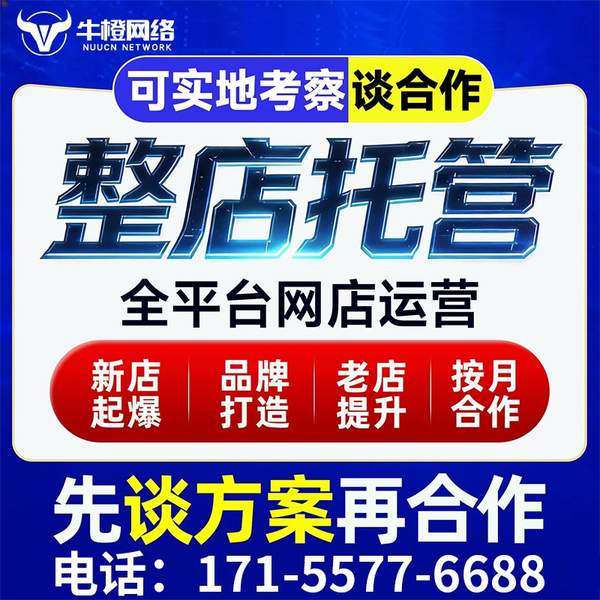 玉树电商代运营