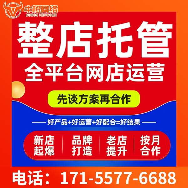 玉树电商代运营