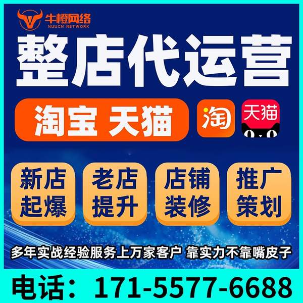 玉树电商代运营
