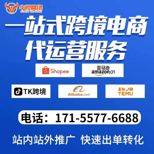 玉树电商代运营