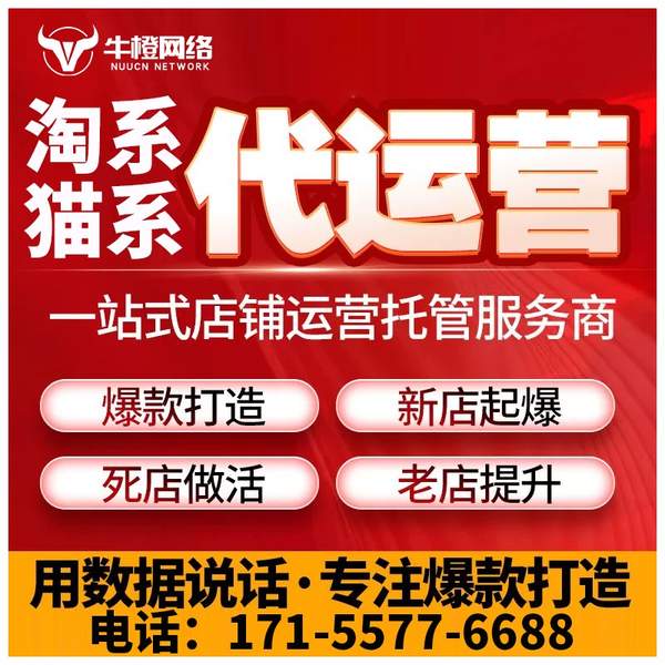 玉树电商代运营